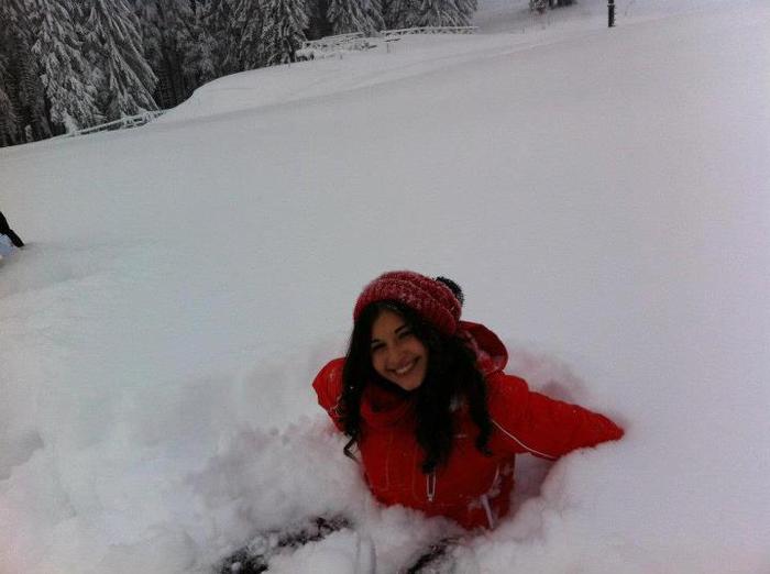 421131_271210199672786_537530697_n