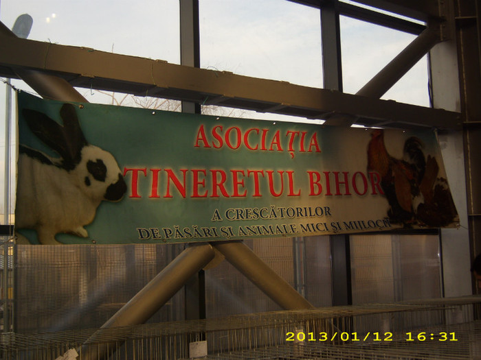 Benerul Asociatiei Tineretul Bihor