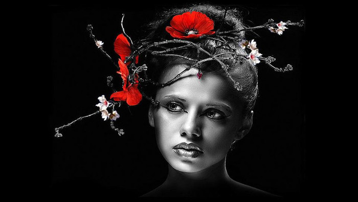 252137_10151358852829311_1648407461_n - NATURA MOARTA-NATURA VIE