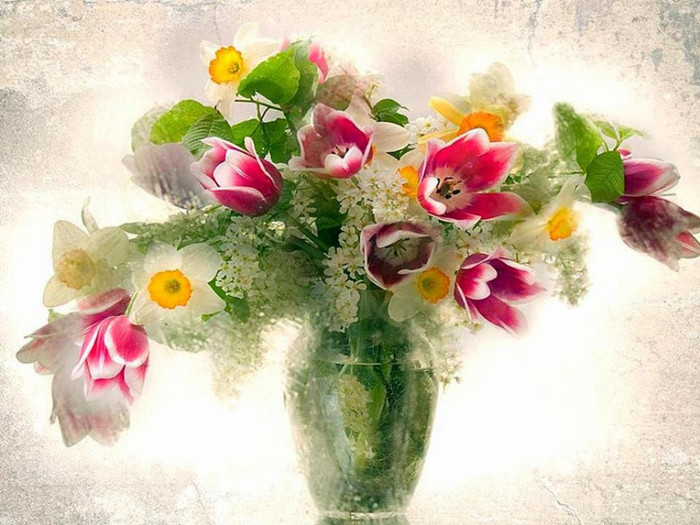 376689_10151338799099311_64622519_n - NATURA MOARTA-NATURA VIE