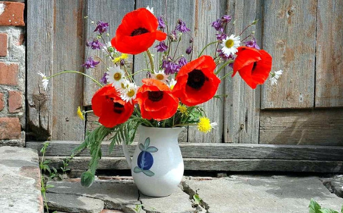 543233_10151357678629311_1817651146_n - NATURA MOARTA-NATURA VIE