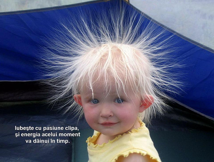 734879_10151344230064311_695253742_n - NATURA MOARTA-NATURA VIE