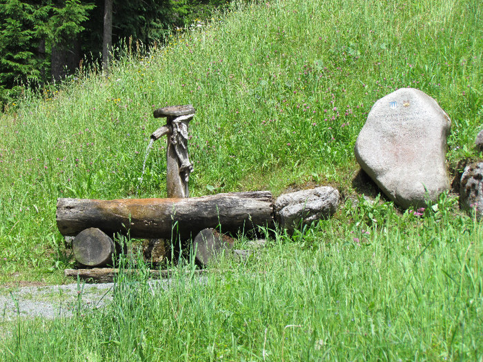 IMG_0724 - Vara-Toamna in Austria-Tirol