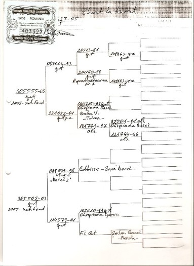 scan0017 - PEDIGREE FEMELE