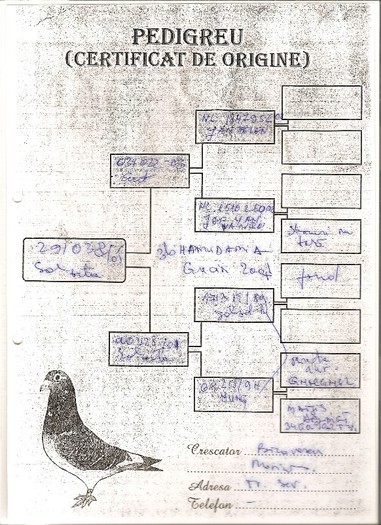 scan0018 - PEDIGREE FEMELE