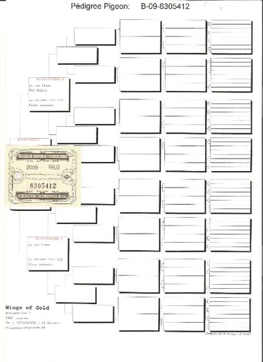 scan0026 - PEDIGREE FEMELE