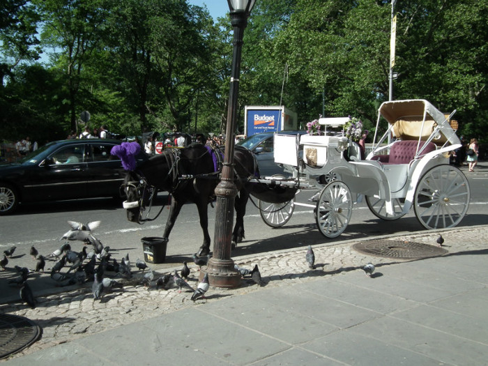 DSCF3907