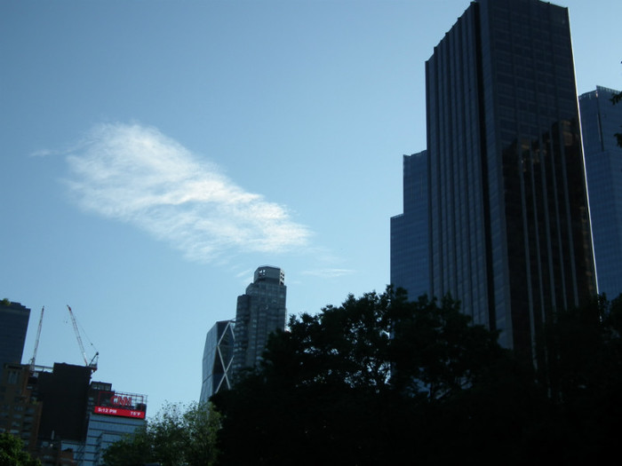 DSCF4009