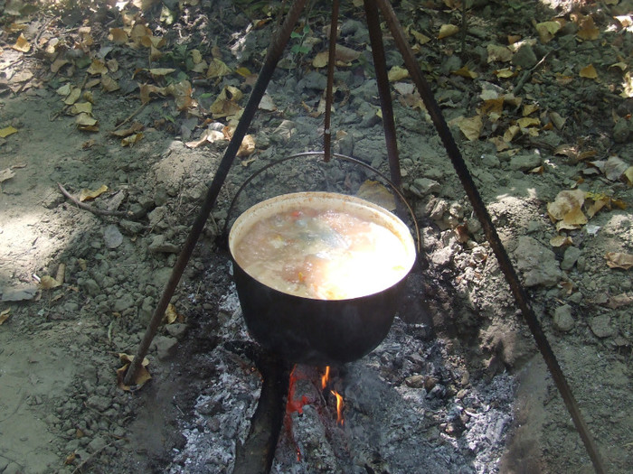 CIORBA PESCAREASCA - PATIU