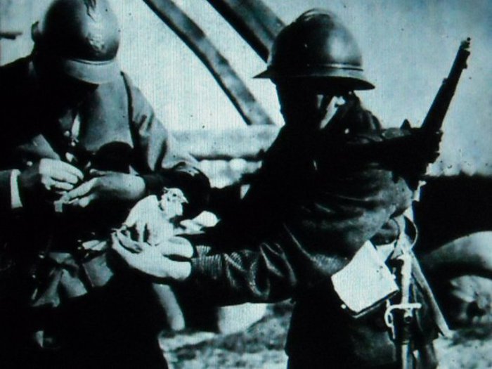 183745_194486937240944_786454_n