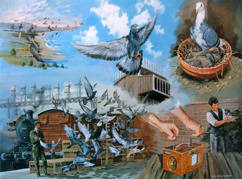 387623_106934899469687_1283076287_n