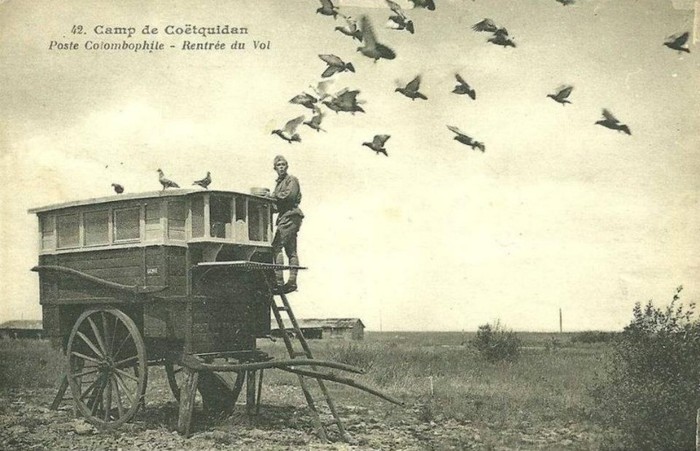 396429_137612906360662_144037468_n