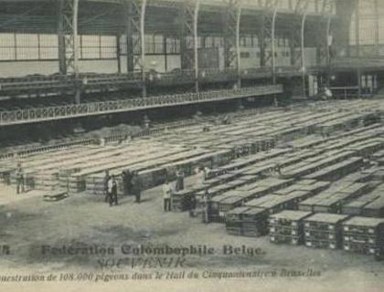 282838_320498518056713_743422756_n