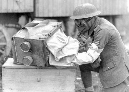 407174_137613116360641_1178968282_n