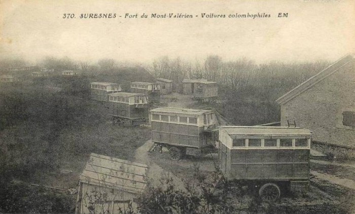 407494_137612886360664_1160108107_n