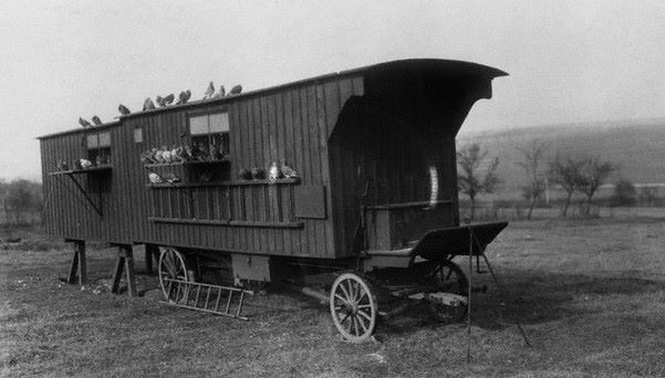 408964_137612923027327_2092375559_n