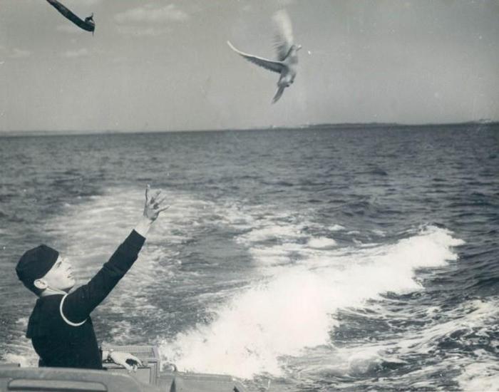 419686_137612766360676_1262734608_n