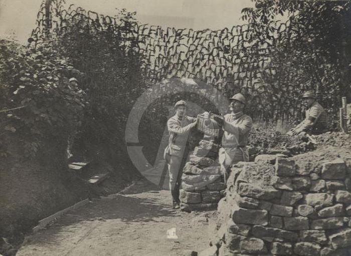 417651_137613159693970_785505599_n - POZE ISTORICE DESPRE PORUMBEI