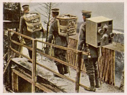 423264_137613066360646_1816697033_n