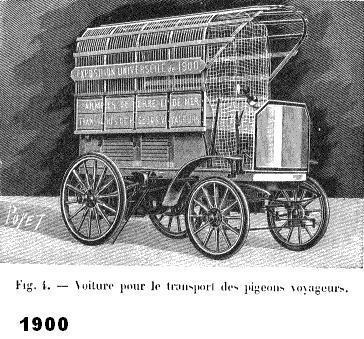 425296_137612963027323_125739260_n