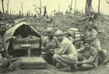 424288_137613033027316_460366409_n