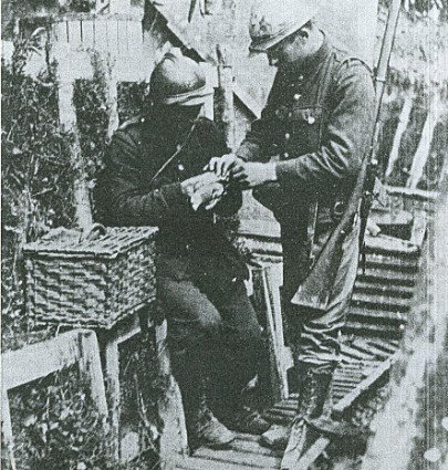 431036_137613099693976_425668492_n