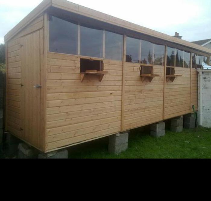 22385_105719742926792_6251971_n