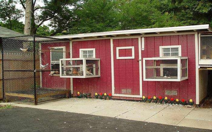 305521_105719056260194_2056714427_n