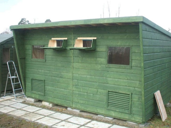 407710_105719829593450_834307981_n