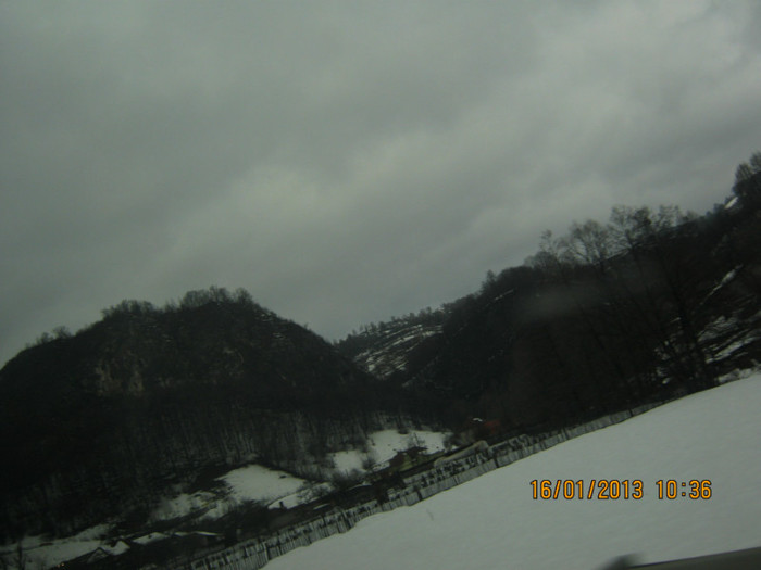 IMG_0062 - Tg-Jiu    Timisoara