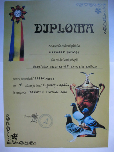 Locul 2 cat. Maraton ACD Braila - Diplome