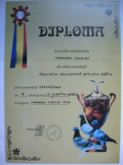 Locul 5 cat. Maraton ACD Braila - Diplome