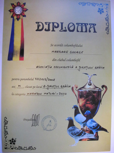 Locul 8 cat. Maraton ACD Braila - Diplome