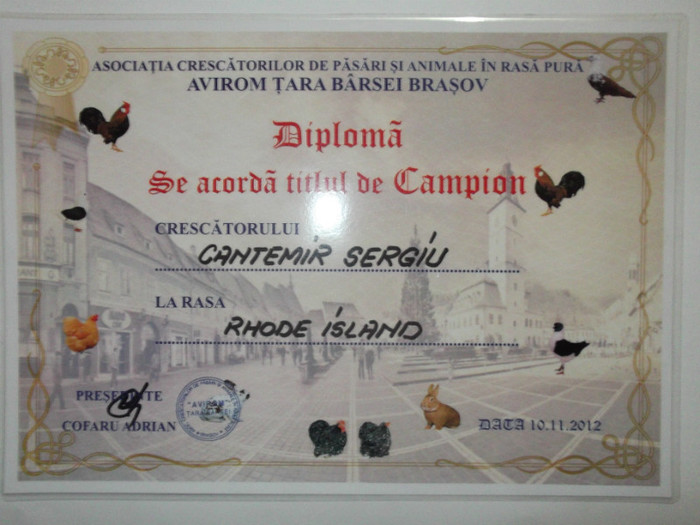Expo tineret Brasov 2012 - Diplome