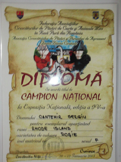 Expozitia Nationala - Craiova 2013 - Diplome