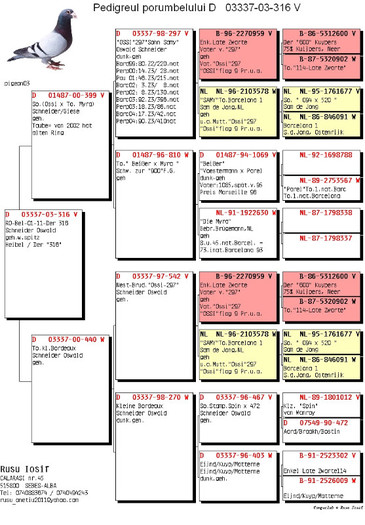 org.Schneider O 03337-316-03 - PEDIGREE PORUMBEI 2013