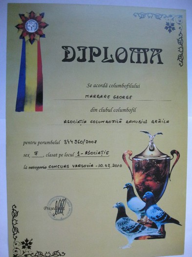 Locul 1 Varsovia 971 km - Diplome