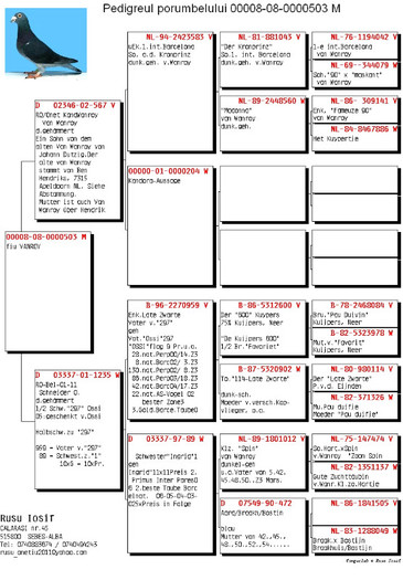 503 - PEDIGREE PORUMBEI 2013