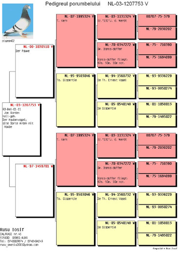 03-1207753 - PEDIGREE PORUMBEI 2013