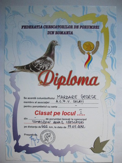 Locul 1 Tomaszow 666 km - Diplome