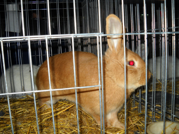 Picture 562