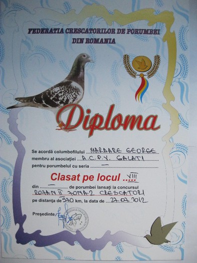 Locul 8 Rozan 970km - Diplome