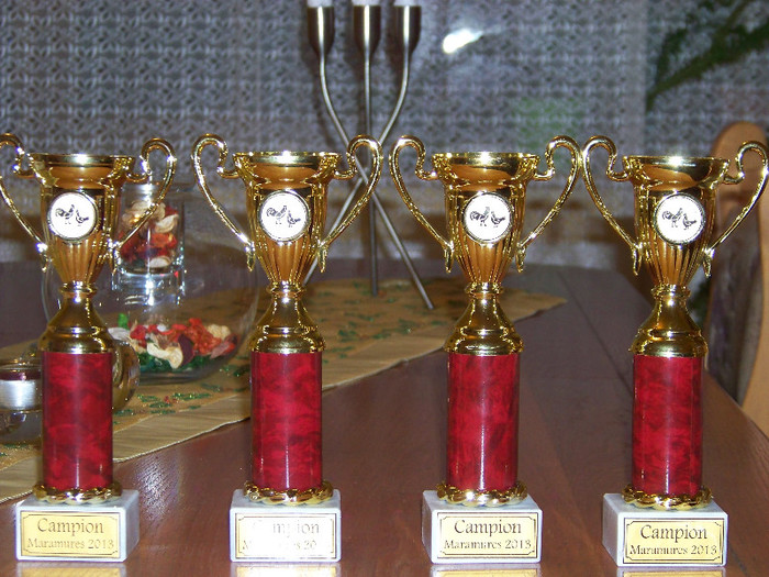 100_6045 - CUPE SI CAMPIONI 2013