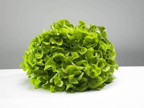 Salata verde creata-Grand Rapido 1gr -2 lei