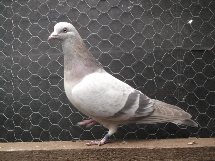 377171_253679904703092_1794983487_n