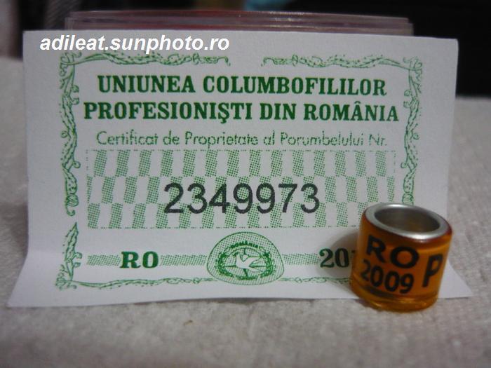 RO-2009-UCPR. - 3-ROMANIA-UCPR-ring collection