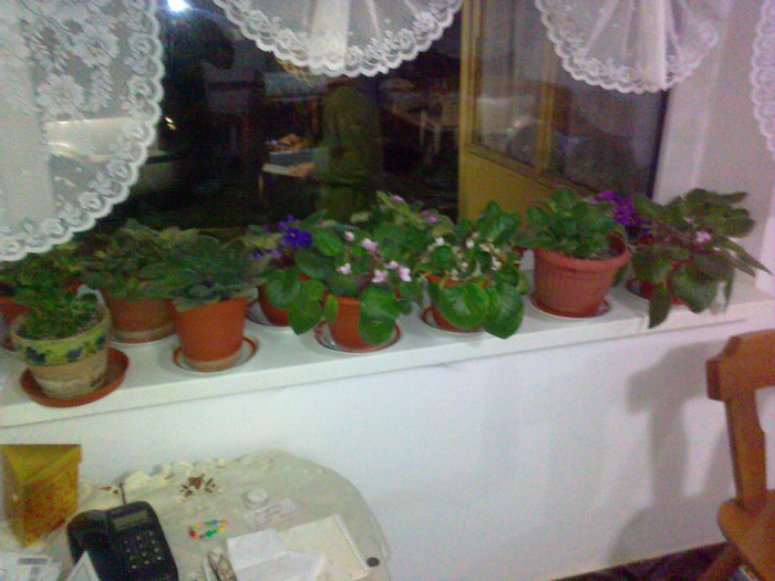 09102010318 - florile mamei