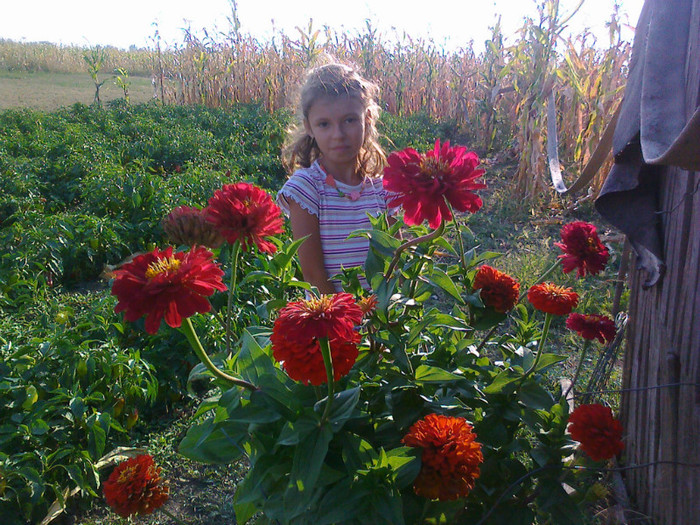 poze_iulie_2012 019 - florile mamei