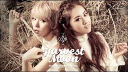 2yoon(1) - 2Yoon