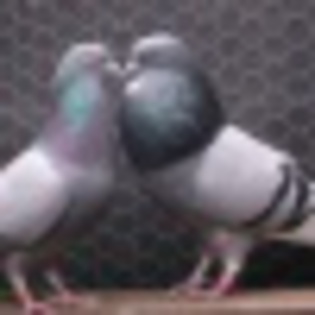 157805_100001832529606_322190266_q